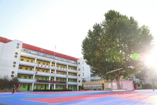 师大附小学区房有哪些，师大附小招生简章2023