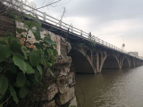 什么的桥?填空。