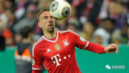 里贝里是建文帝后裔吗，里贝里刀疤脸