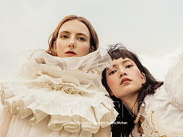 stride的近义词辨析