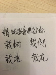 裁组词，裁组词二年级下册