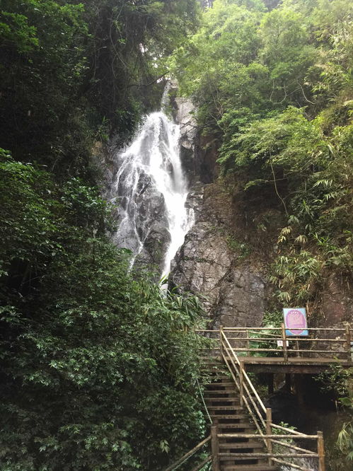 肇庆旅游必去十大景点