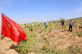 热火朝天是什么生肖?，热火朝天的拼音