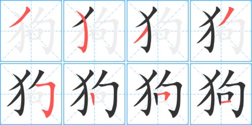狗的笔顺是