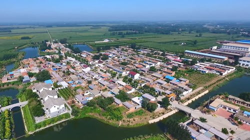 阜城县是哪个省的城市，阜城县天气预报