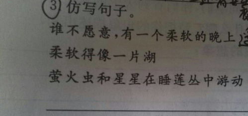 如何用伙伴来造句