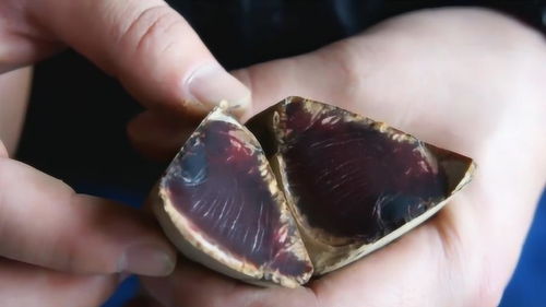 坚硬的近义词，坚硬的蔬菜 塞尔达