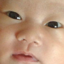 undo反义词怎么拼