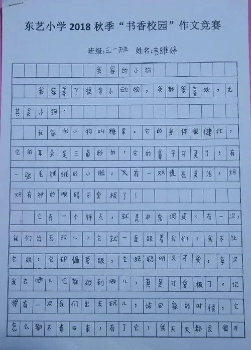 作文书香校园800字，书香校园作文素材