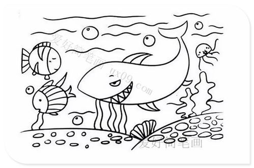 海底世界简笔画带颜色，海底世界简笔画视频教程