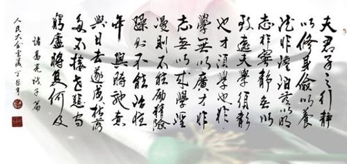 淡泊明志的意思