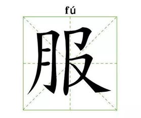 服组词两个字的词语，服组词三年级上册