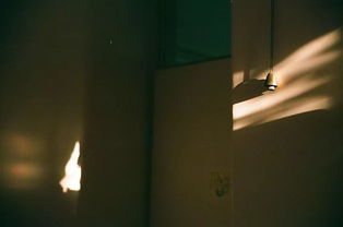 智仁勇三者天下之达德也，智仁勇三达德