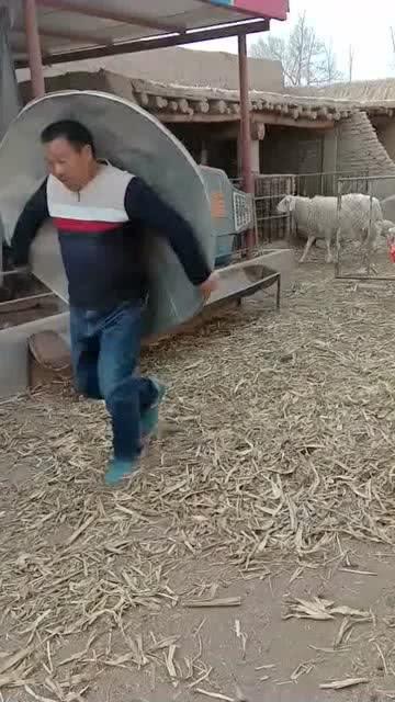 怎么样才可以一拳放倒一个人