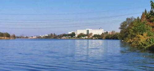 夸夸我的家乡作文400字，夸夸我的家乡六安