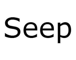 seep和leak的区别，seep into