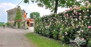 龙沙区的历史沿革