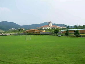 深圳光明农场可以采摘荔枝吗深圳光明农场摘荔枝价格