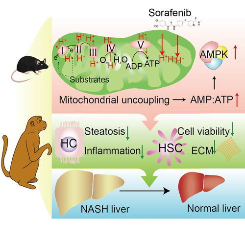 1千克等于多少牛?