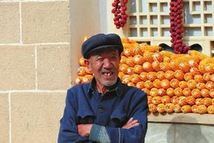 张世新个人资料，张世新 公示