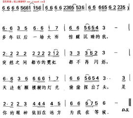 流行歌曲简谱有哪些?