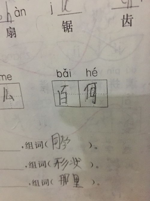 掰怎么写，柏怎么写