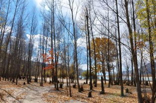 一人不成众,一木不成林,下一句是什么