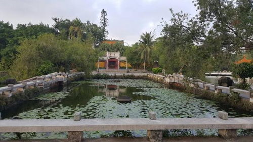 乌石村位于哪里