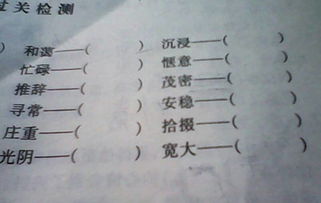 松散是什么意思 松散造句 近义词反义词