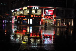 意兴阑珊什么意思啊，意兴阑珊的阑珊什么意思