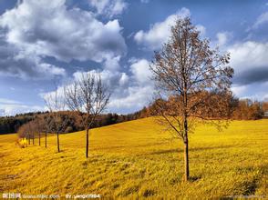 仿写作文秋天的快乐