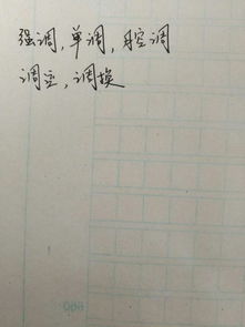 条的组词，条的组词一年级