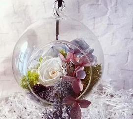 说说关于押花的历史由来