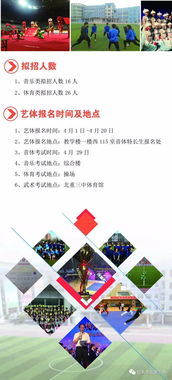 哈尔滨高中艺术特长生招生简章，盐道街中学艺术特长生招生简章