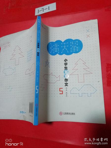 我喜欢满天星作文