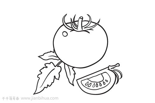 小西红柿简笔画教程