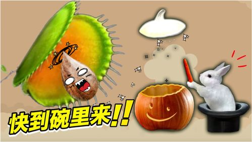 神奇的种子是科普读物吗，神奇的种子绘本故事