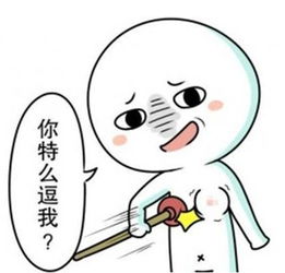 毋庸置疑是什么意思