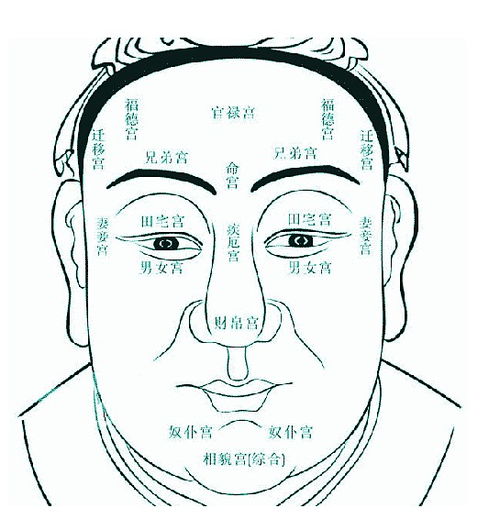 看面相算命知识大全