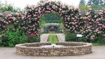 龙沙动植物园门票，龙沙区
