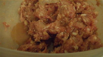 果脯的读音，肉脯的读音是什么意思