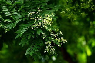 三什么九什么的成语