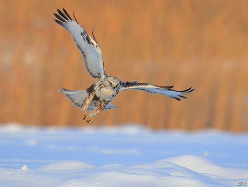 形容奔波忙碌、旅途辛苦劳累的样子的成语是什么?
