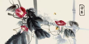 鵷鶵 这两字怎念