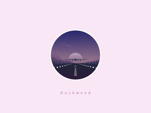 duckweed是什么意思啊，duckweeds
