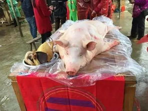 太公分猪肉歇后语的下一句，太公分猪肉的由来