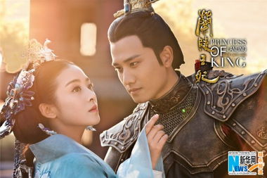 兰陵皇妃电视猫，兰陵皇妃小说全文免费阅读