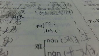 籽的组词是啥?