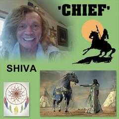 chief(英语单词)详细资料大全