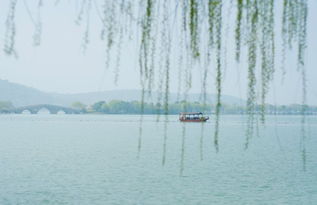 正是江南好风景,下一句是什么?